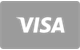 Paga con Visa su ViciBet Casino